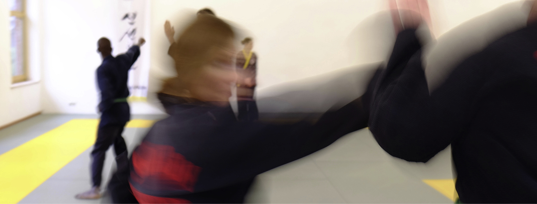 Training im Kampfsport Lehrgang